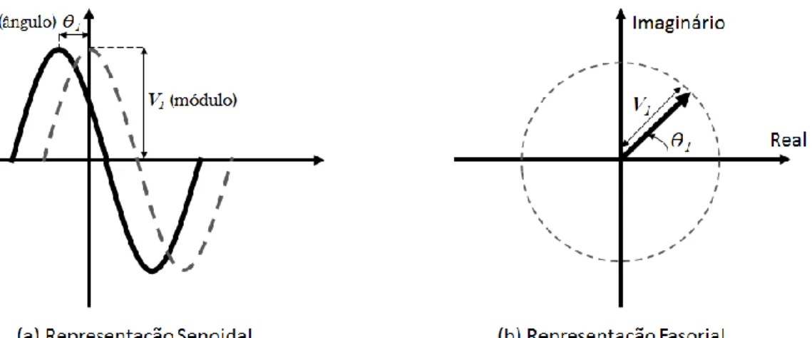 Figura 2.3. Representação fasorial de um sinal senoidal. 