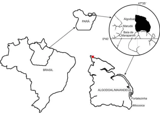 Figura  01.  Mapa  de  localização  da  Ilha  de  Algodoal/Maiandeua.  Quadrado  em  vermelho  representa  a  localização do recife estudado