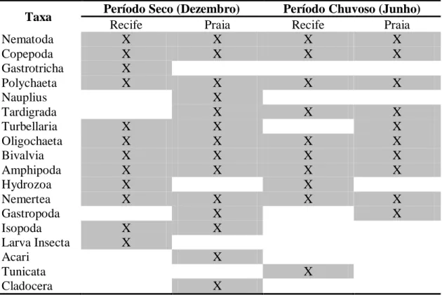 Tabela  1: Ocorrência  dos  grupos  da  meiofauna  nos  recifes  arenosos  de  Sabellaria  wilsoni  e  na  praia  da  Ilha de Algodoal/PA