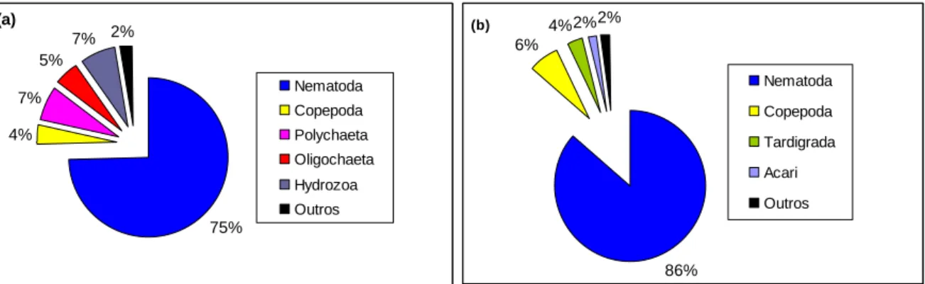 Figura 09: Abundância dos grupos  da meiofauna por ambiente: (a)  recife e (b) praia durante o período  seco na Ilha de Algodoal/PA