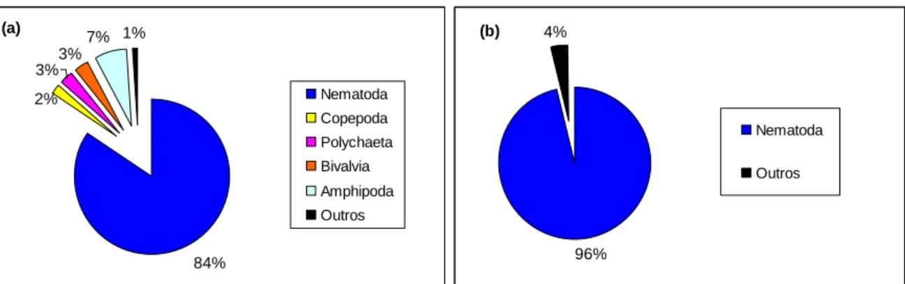 Figura 08: Abundância dos grupos  da meiofauna por ambiente: (a) recife e (b) praia durante o período  chuvoso na Ilha de Algodoal/PA