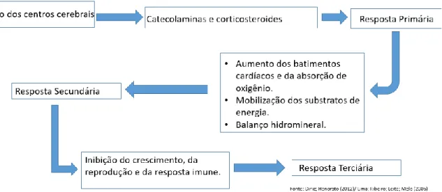 Figura 10 - Respostas do estresse evidenciadas por Diniz e Honorato em 2012. 