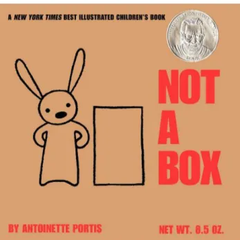 Figura 3 – Capa do livro “Not a Box” 