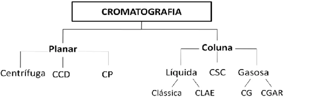 Figura  1-  Representação  esquemática  dos  diferentes  tipos  de  cromatografia.  (CCD-  Cromatografia  em  camada  delgada;  CP-  Cromatografia  em  papel;  CLAE-  Cromatografia  líquida  de  alta  eficiência;  CSC-  Cromatografia  Supercrítica; CG- Cro