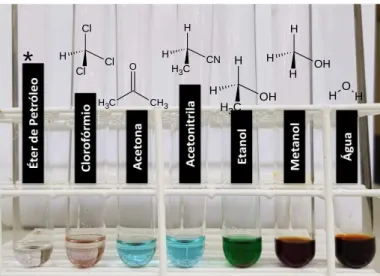 Figura 3- Teste de solubilidade do corante marrom em diferentes solventes.  