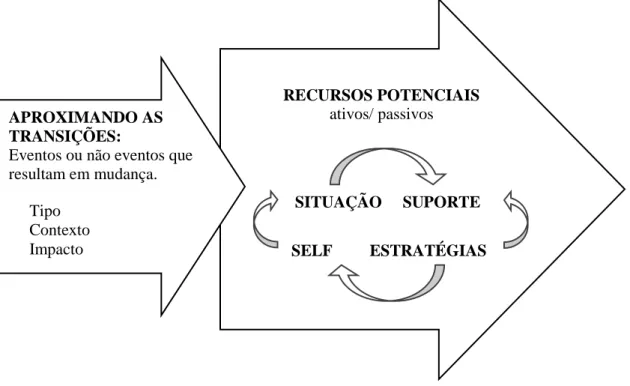 Figura 3 – O processo de transição: mudando as reações ao longo do tempo 