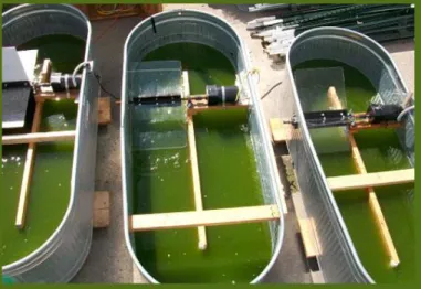 Figure 8 - Open pond raceway type photobioreactor. 