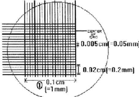 Figure 11 - Grid of Neubauer chamber. 