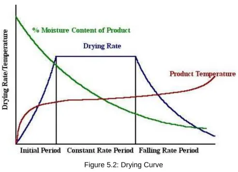 Figure 5.2: Drying Curve 