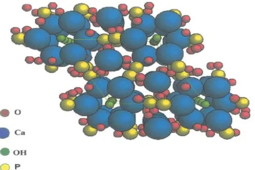 Figura 2 - Célula unitária da hidroxiapatita 