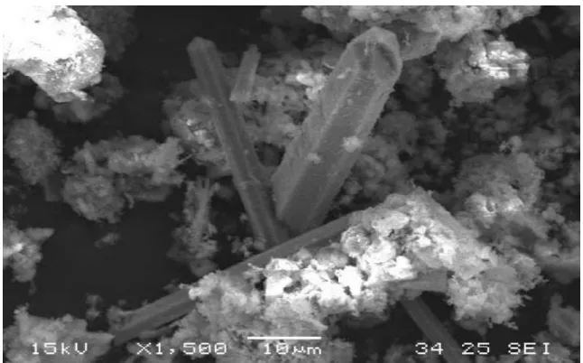 Figura 5 - Micrografia da HAp obtida pelo método hidrotermal 