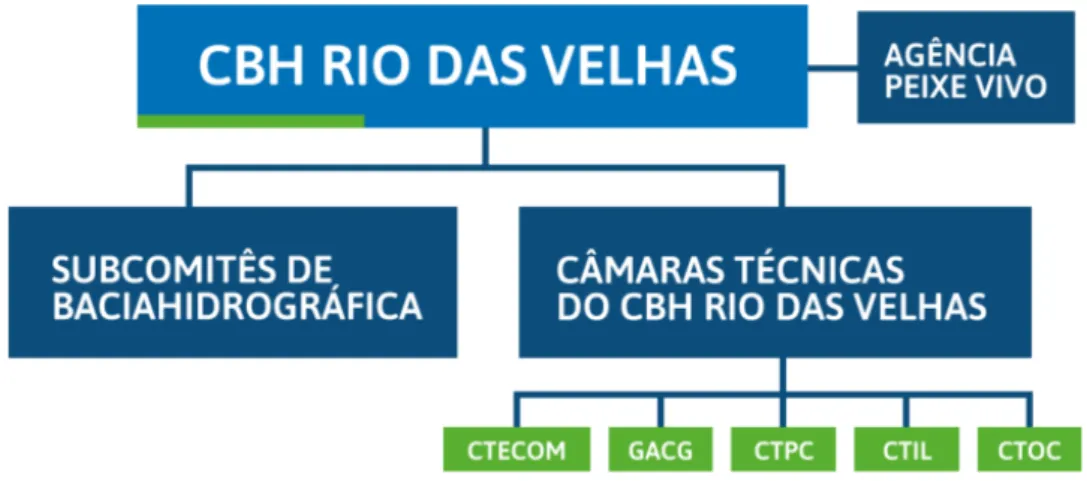 Figura 9 - Estrutura CBH Rio das Velhas 