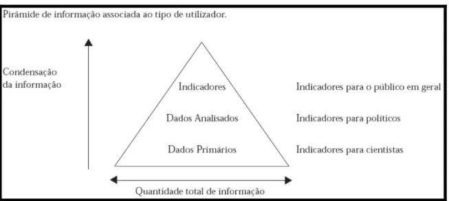 Figura 4. Pirâmide de informação associada ao tipo de utilizador. 