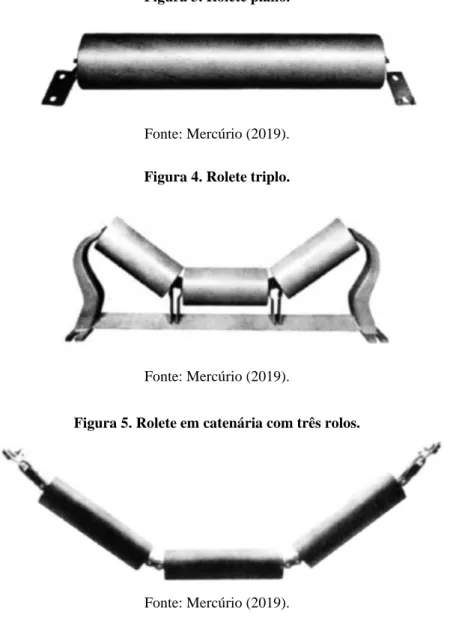 Figura 3. Rolete plano. 