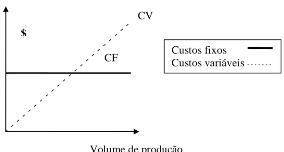Figura 2: Representação gráfica custos fixos e variáveis  Fonte: Bernardi (2004) 