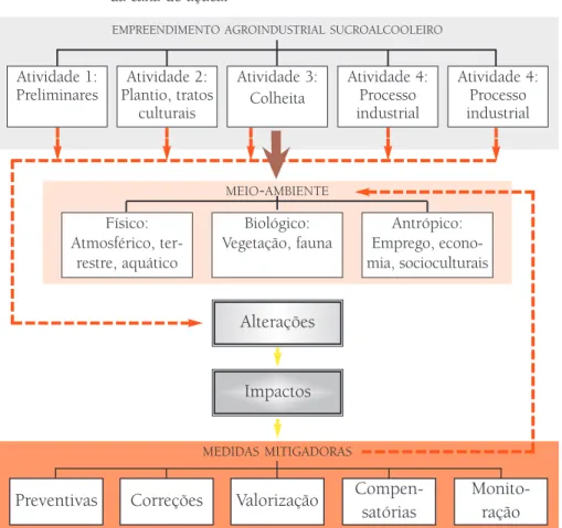 Figura 1: Estrutura da análise ambiental para um EIA/RIMA: agroindústria  da cana-de-açúcar