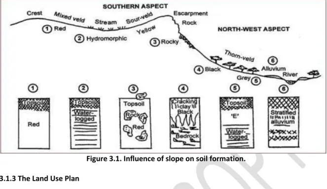 Figure 3.1. Influence of slope on soil formation. 