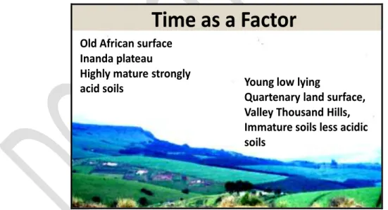 Figure 2.2. Highly weathered soils (Ferrosols) developed on an ancient  remnant of the African surface in the background, 240 m above the 