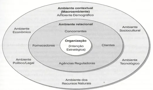 Figura 4: O ambiente da organização. 