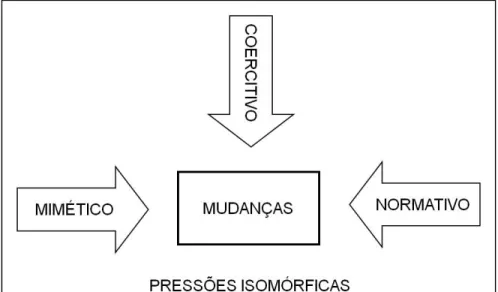 Figura 05: Pressões isomórficas. 