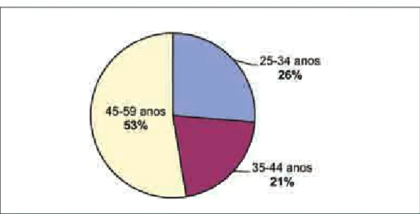 Gráfico 2 – Faixa etária das assistentes sociais