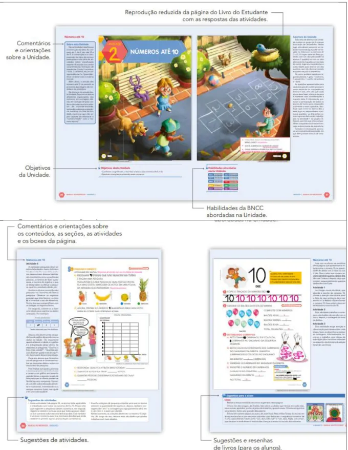 Figura 2.1 – Formato U do Manual do Professor 