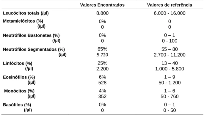 Tabela 4: Hemograma 2 (26/08/2019) descrição da leucometria: Valores encontrados para leucócitos  totais(/µl),  metamielócitos,  neutrófilos  bastonetes,  neutrófilos  segmentados,  linfócitos,  eosinófilos,  monócitos, basófilos