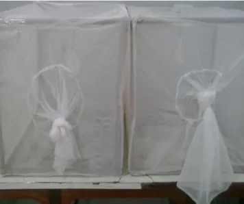 Figura 4 Gaiolas de Criação. 