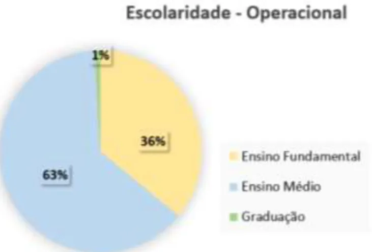 Gráfico 7. Escolaridade da Equipe Operacional FTLSA. 