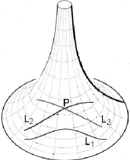 Figura 9 - Superfície de estudo da Geometria Hiperbólica 