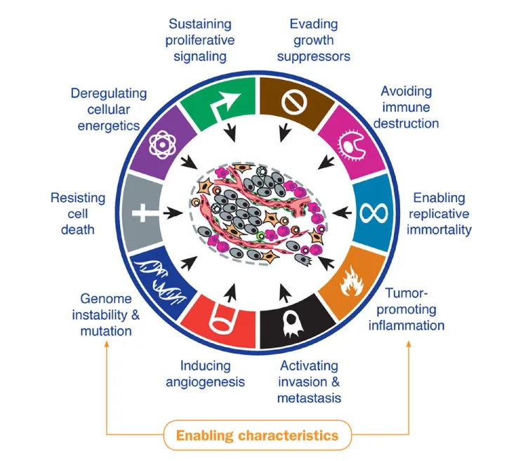 Figure 1: Hallmarks of cancer and two enabling characteristics
