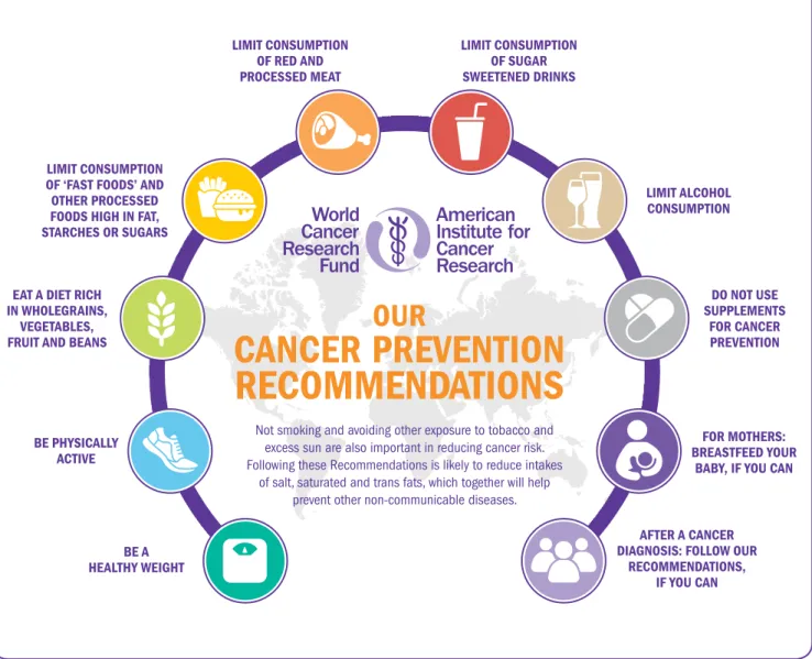 Figure 8: Our Cancer Prevention Recommendations as an overarching ‘package’
