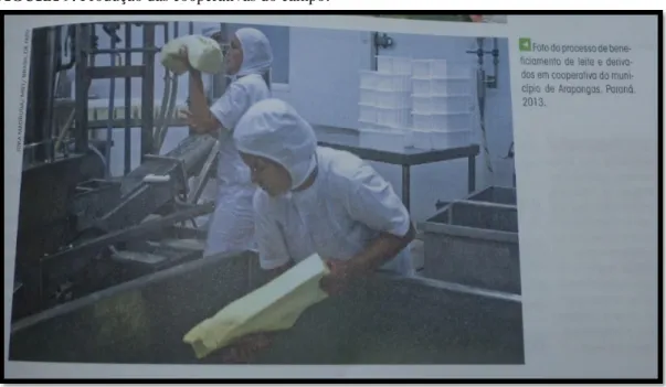 FIGURA 9. Produção das cooperativas do campo .