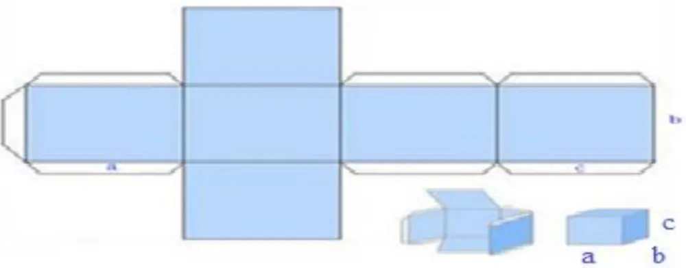 Figura 4: Planificação do paralelepípedo. 