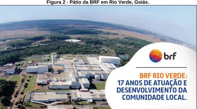 Figura 2 - Pátio da BRF em Rio Verde, Goiás. 