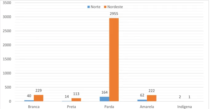 Figura 2. Distribuição dos óbitos por HIV nas regiões Norte e Nordeste do Brasil por raça,  no período de 2013 a 2018