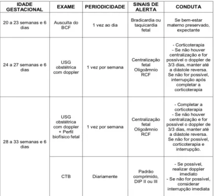 Figura 3. Exames para avaliação fetal. 