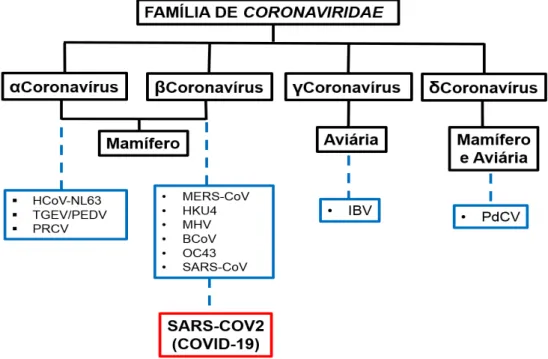 Figura 1. Famílias de Coronaviridae (SOARES et al., 2020). 