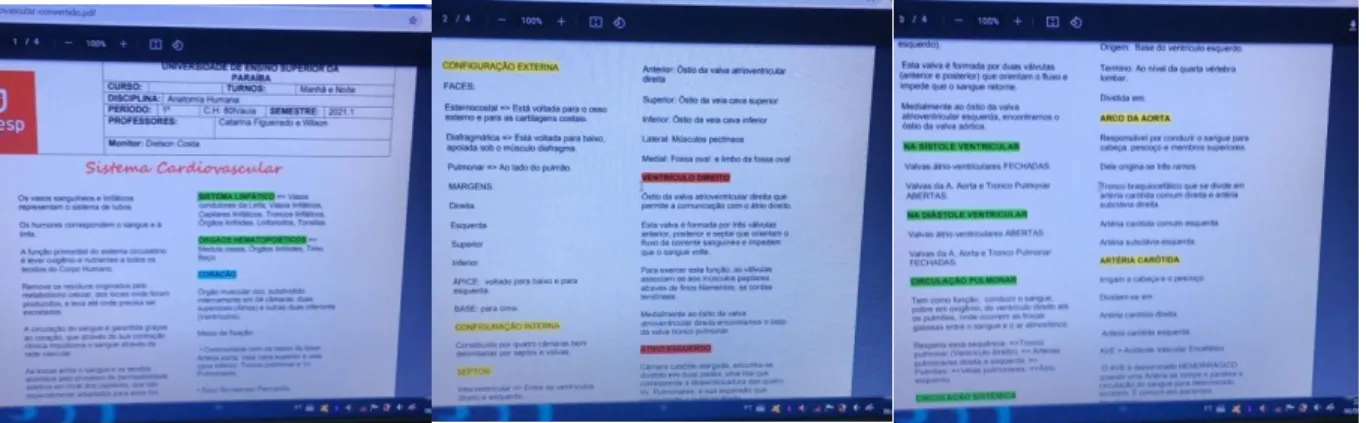 Figura 9: Resumo do sistema cardiovascular. 