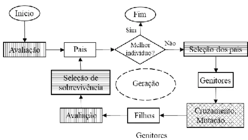 Figura 7 - Ciclo do Algoritmo Evolutivo 