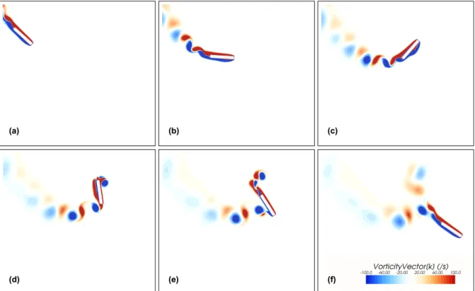Figure 3.6.: Vorticity field in at six instant during a full rotation