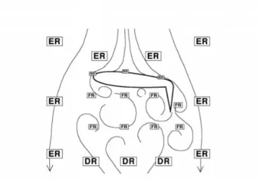 Figure 3.1: Different flow regions of DES [76].