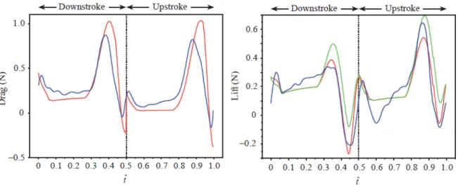 Figure 2.6: Forces obtained by Walker with his model (red) compared to the values measured by Dick- Dick-inson (blue)