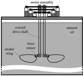 Figure 4.1: Scheme of the experimental setup used by Dickinson et al. [5].