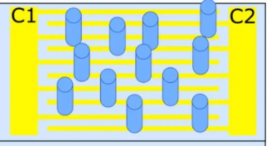 Figure 3.5: Schematic of the nanowire samples. At yellow we have the gold contacts (C1 and C2) and the cylinders represent the nanowires.