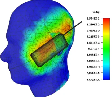 Figure F.5: Three-dimensional SAR plot for the CENELEC 50361 SAM phantom head.