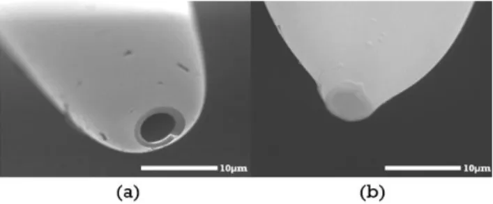 Figure 13 | Inner radius of pipettes by SEM. These are SEM images of the pipettes produced in the first batch,  showing some discrepancy on tip shape