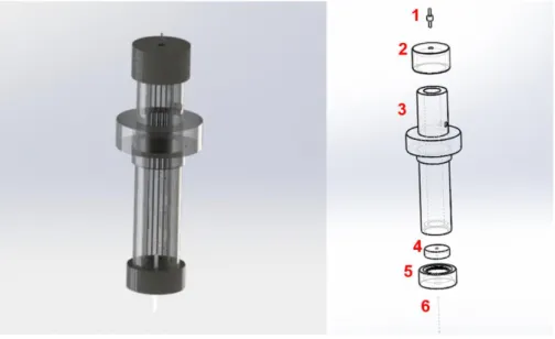 Figure  17  |  Nanopipette  holder designing.   This  element  is composed  by an electrode  connector (1), a top cork (2), a pipette tube (3), a pipette adapter (4), a bottom cork (5)  and the nanopipette (6)