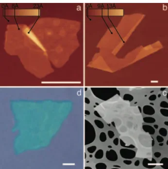 Figure 1.1: Monolayers of NbSe 2 (a), graphene (b), Bi 2 Sr 2 CaCu 2 O x (c) and MoS 2 (d)