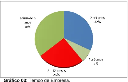 Gráfico 03: Tempo de Empresa. 